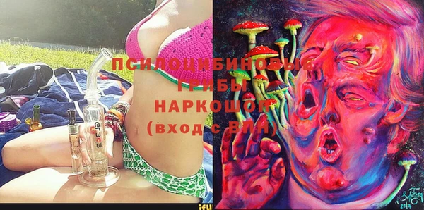 2c-b Абинск