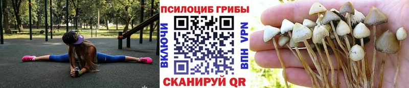 Псилоцибиновые грибы прущие грибы мега маркетплейс Иркутск